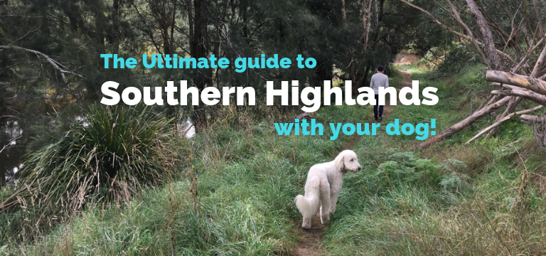 Southern Highlands Main image