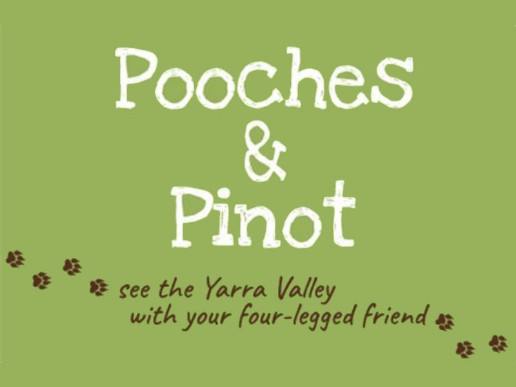Pooches-Pinot-11