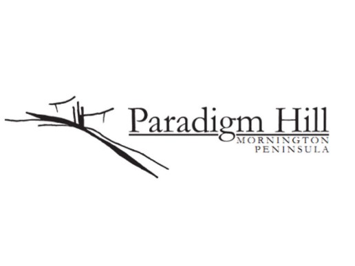 Paradigm-3