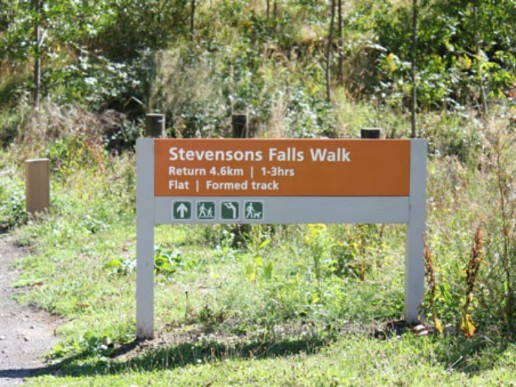Stevenson-Falls-1