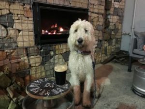 modus operandi 1 1559524747 300x225