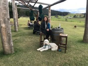 mountain ridge 86 1562806611 300x225