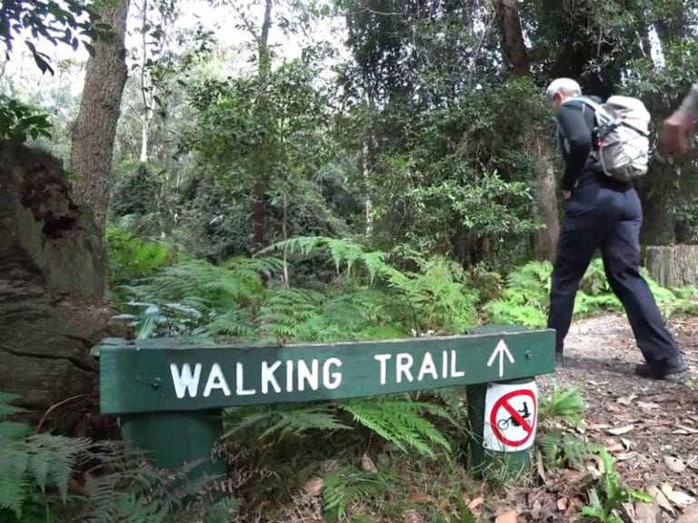 Abbotts Falls Dog Friendly Hike 1 86 768x576