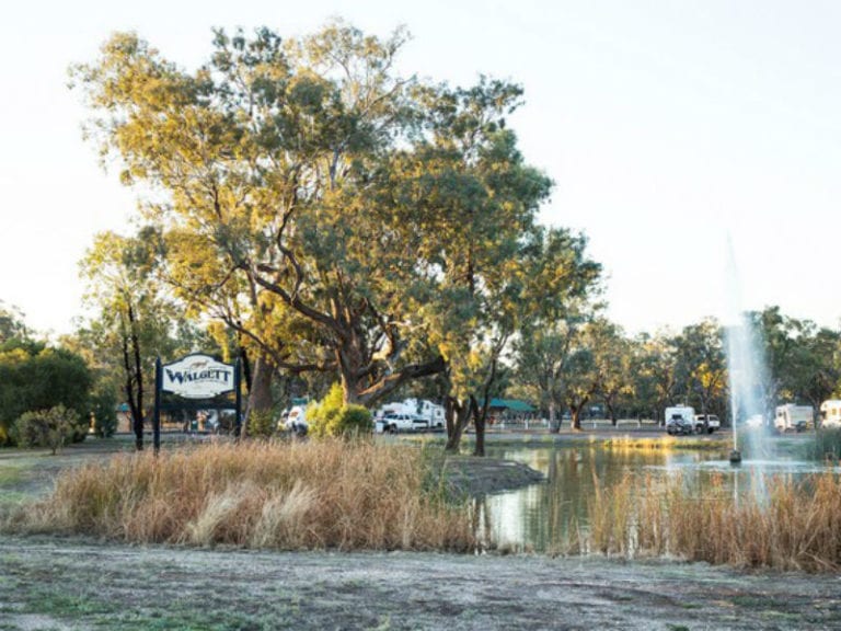 Ale TRevallion 2 86 768x576