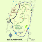 Black Hill Reserve Dog Friendly Walk 2 150x150