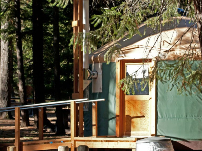 Broken Bucket Dog Friendly Camping 86 768x576