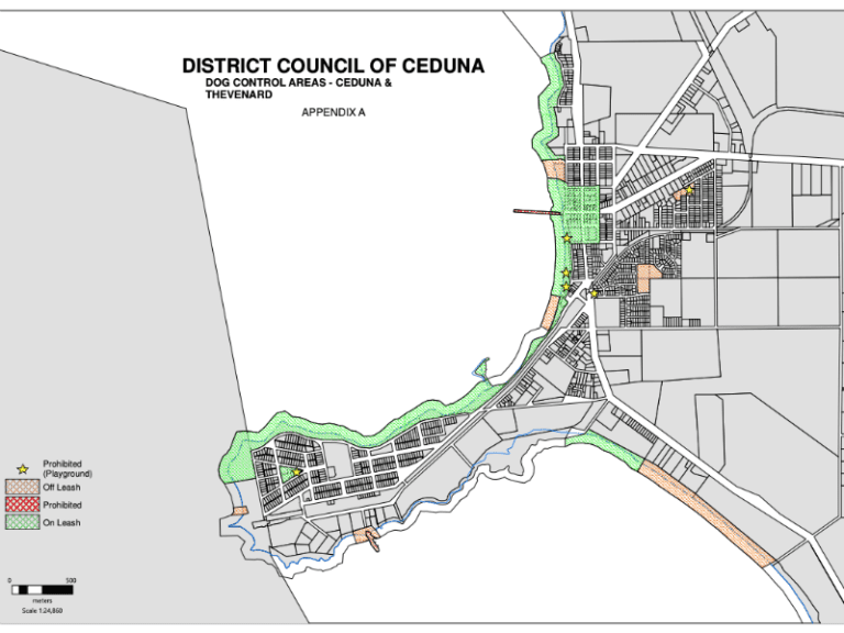 Ceduna Foreshore 86 768x576