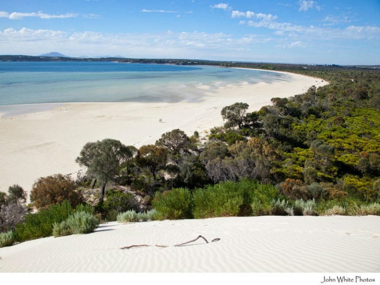 Coffin bay 86 768x576