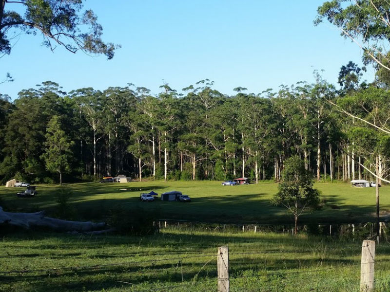 Coffs Harbour Camping 2 86