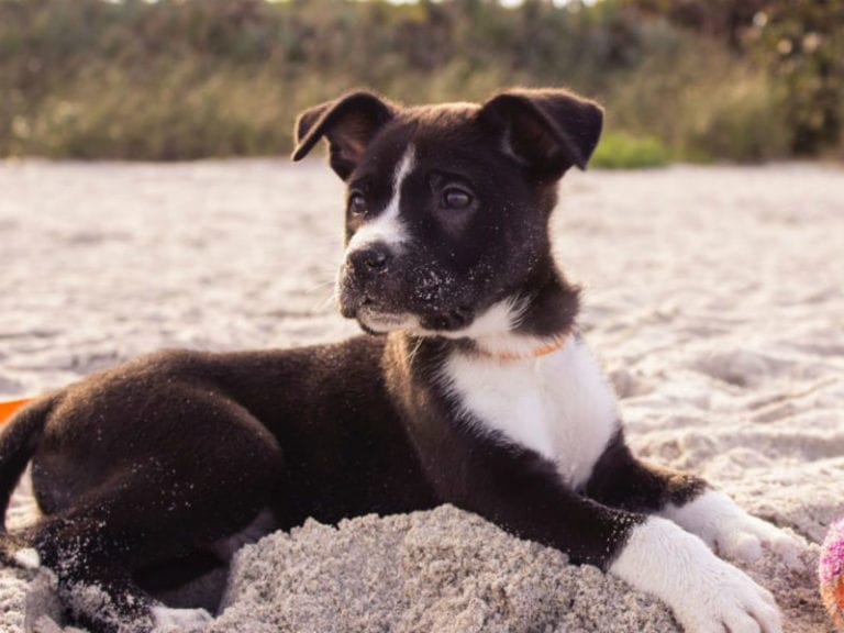 Drury Point 86 768x576