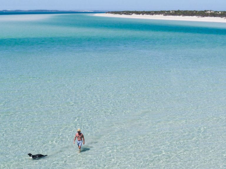 Farm Beach 86 768x576