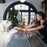 Frisco Hotel Dog Friendly Pub 1 150x150