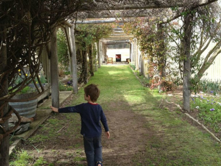 Girraween Dog Friendly Winery 2 86 768x576