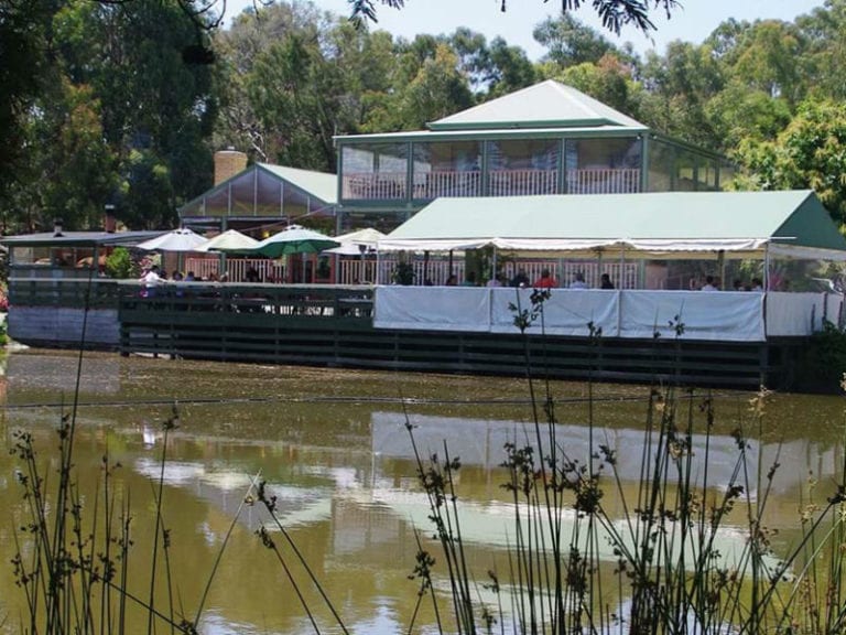 Gisborne Peak Winery Dog Friendly Winery 1 86 768x576