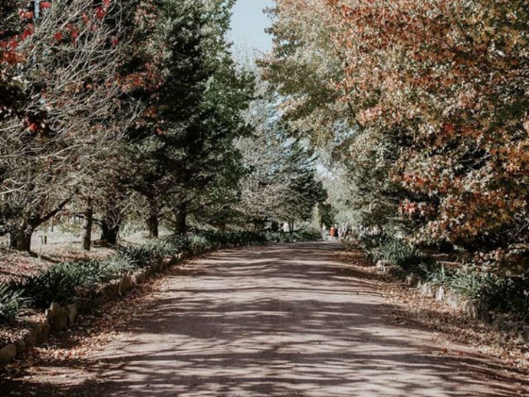 Granite Belt Brewery Dog Friendly Brewery 2 86 768x576