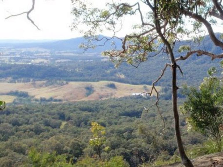 Hunter Lookout 1 86 768x576
