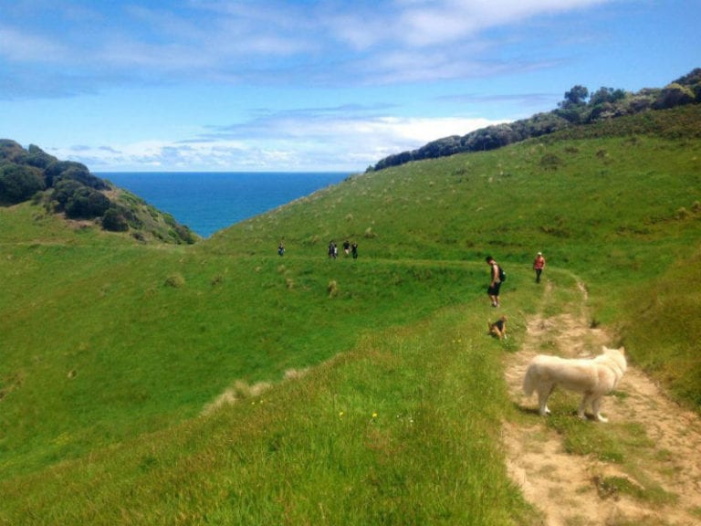 Johanna Beach Camping 1 86 768x576