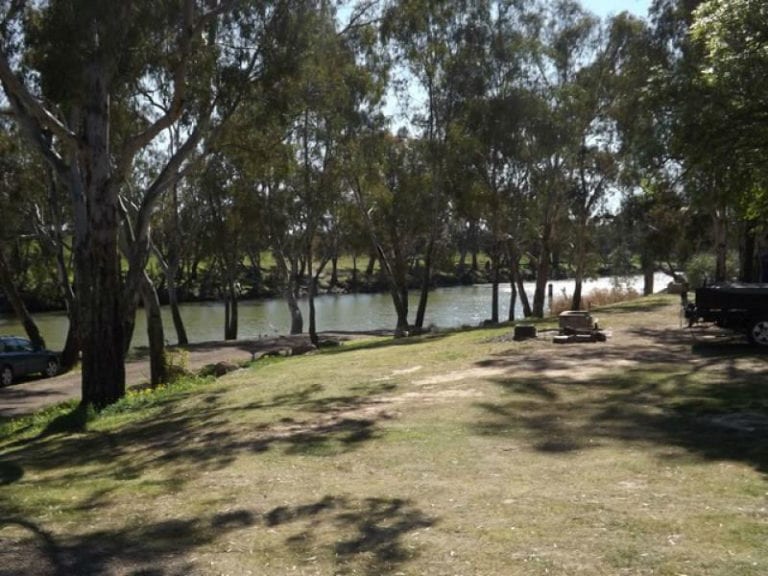 Laanecoorie Dog friendly camping 86 768x576