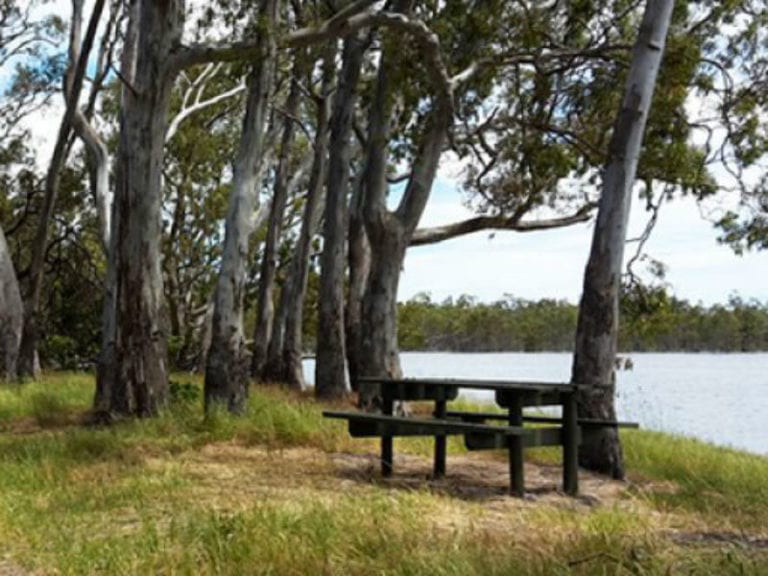 Lake Ratzcastle dog friendly camping 86 768x576