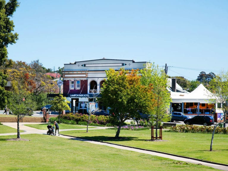 Lambton Park Hotel Dog Friendly Pub 1 768x576