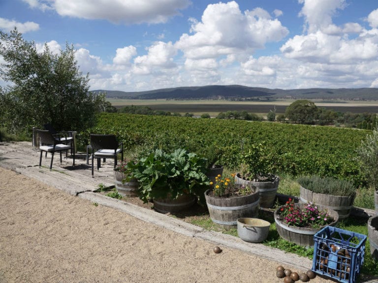 Lerida Estate Dog Friendly Winery 86 768x576