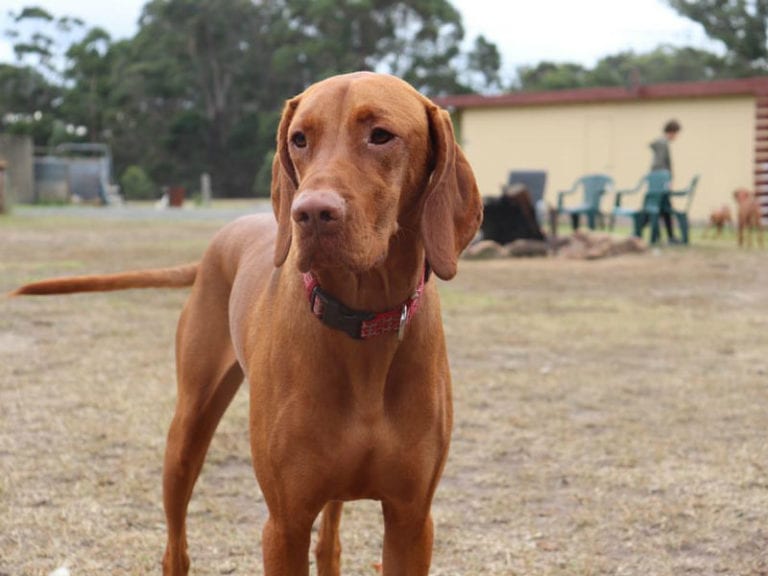 Morton Park 1 86 768x576