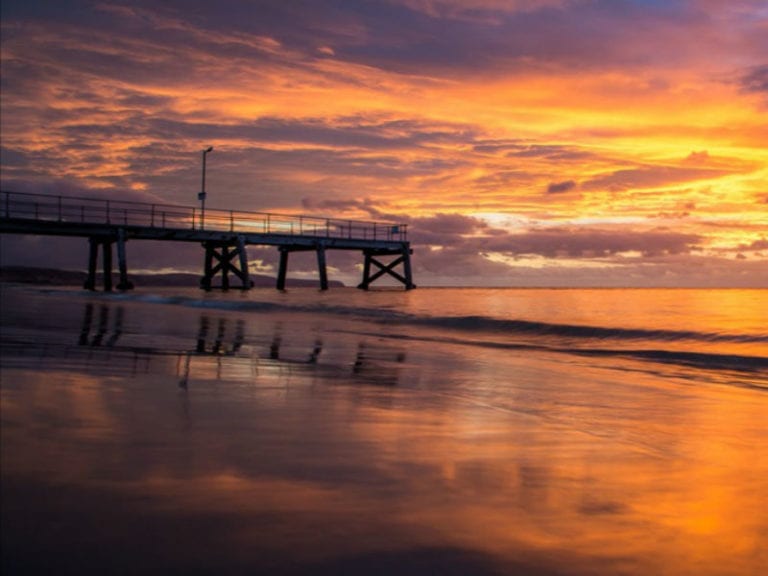 Normanville Dog Friendly Beach 86 768x576