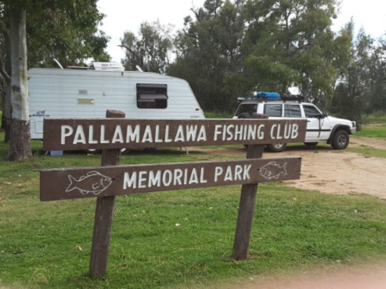 Pallamallawa 1 86 768x576