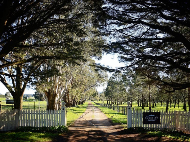 Parkside Winery Estate Dog Friendly Winery 1 86 768x576