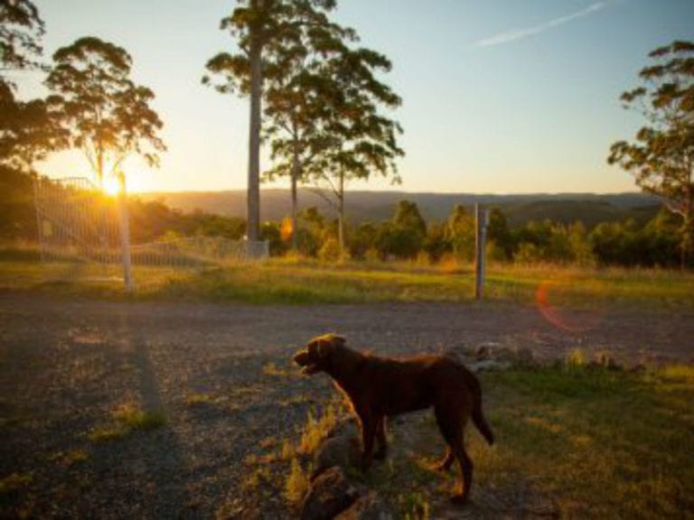 Rover Park 2 86 768x576