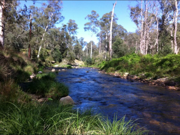 Sheepyard Flat 