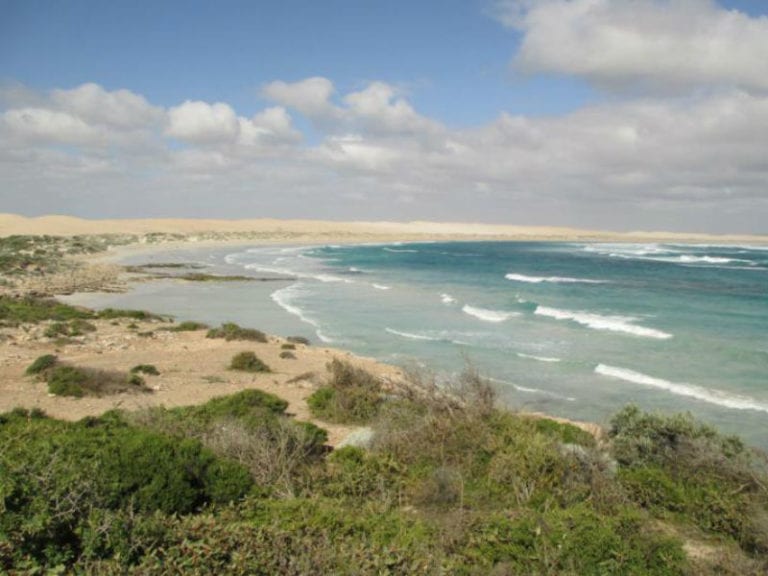 Sheringa Beach 86 768x576