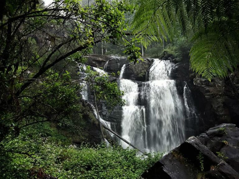 Stevenson Falls 1 86 768x576