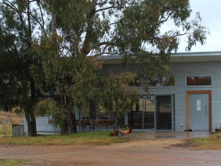 Surveyors Hill Vineyards Dog Friendly Winery 86 768x576