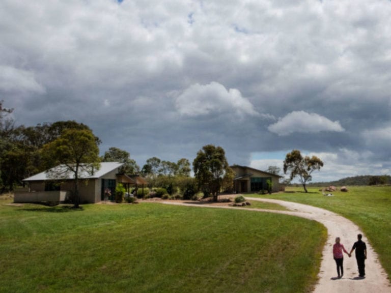 Symphony Hill Wines Dog Friendly Winery 1 86 768x576