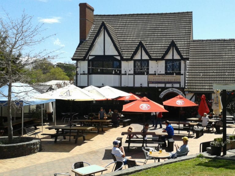 The George Harcourt Inn Dog Friendly Pub 86 768x576