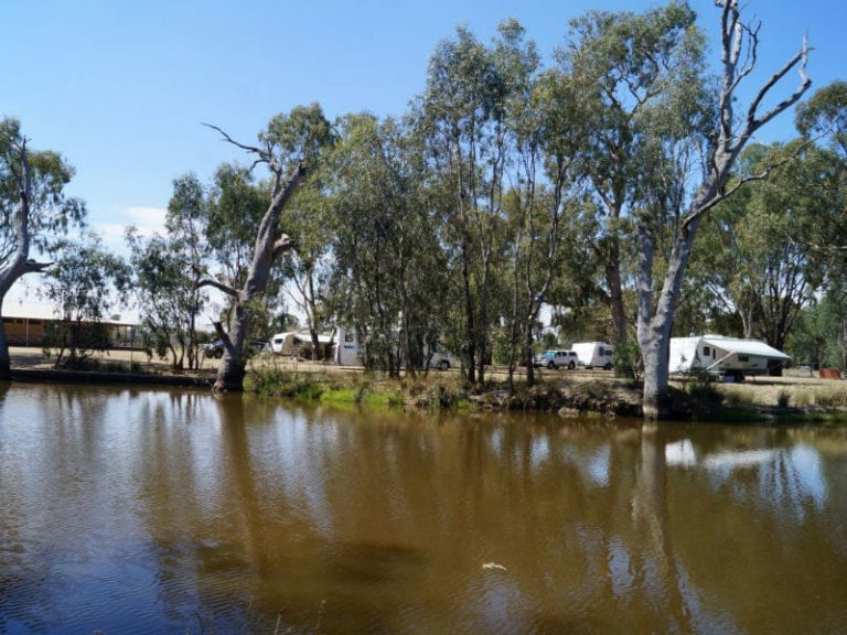 Tungamah dog friendly camping 86 768x576