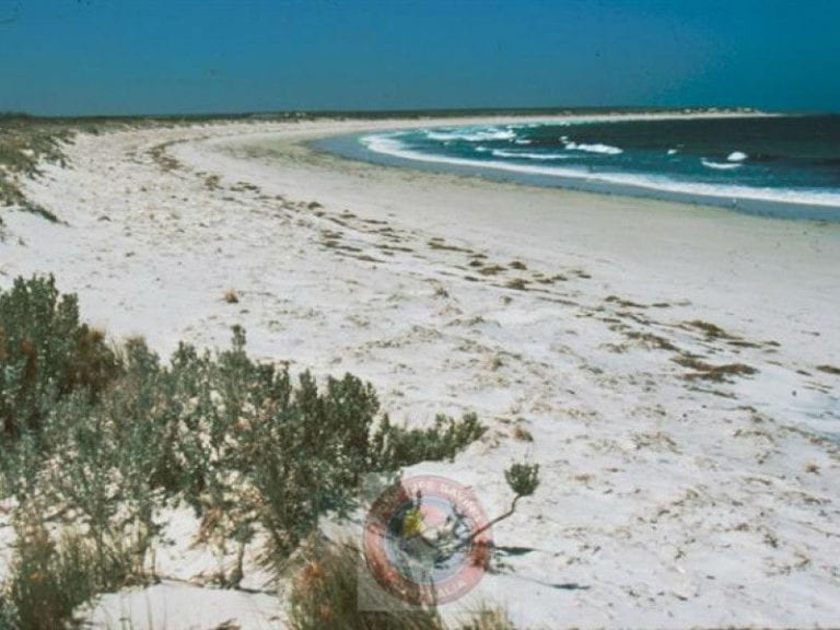 Turnbull Beach 768x576