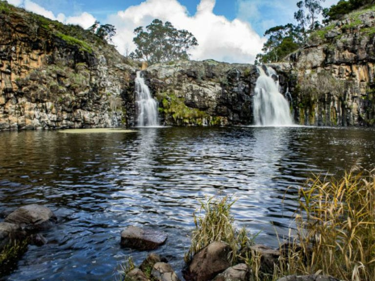 Turpins Falls Dog Friendly Hike 1 86 768x576
