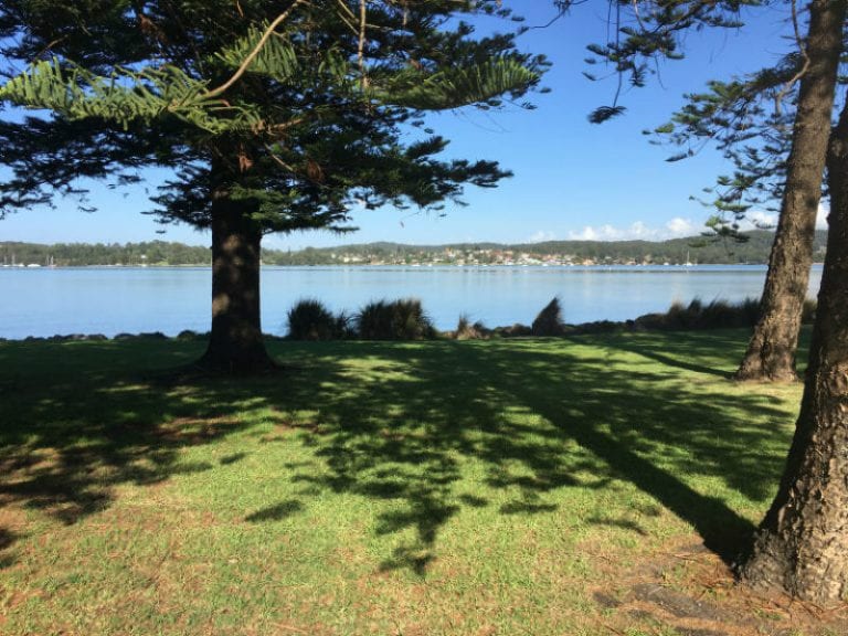 Warners Bay Foreshore Dog Friendly Walk 1 768x576