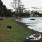 Watchem Lake Dog Friendly Camping 1 86 150x150