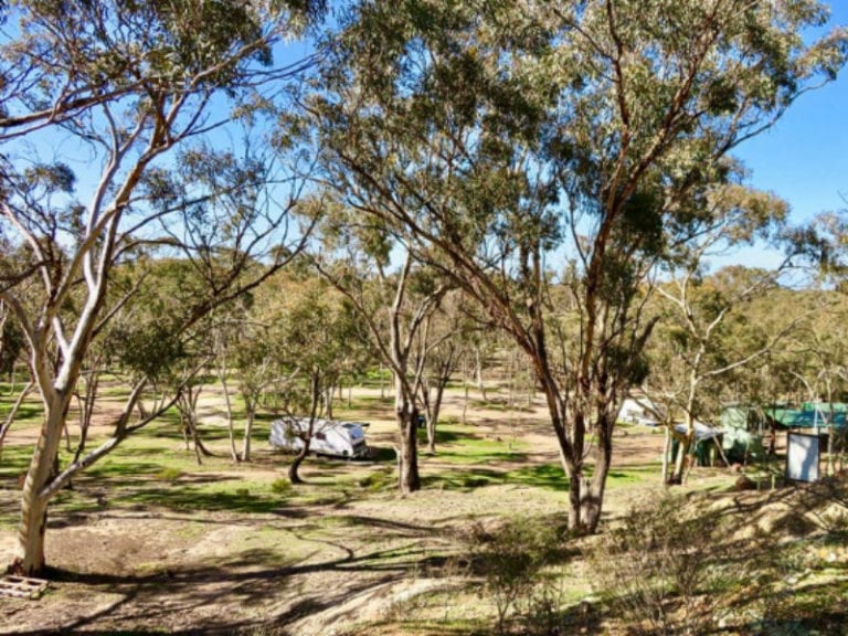 Wedderburn hard hill 86 768x576