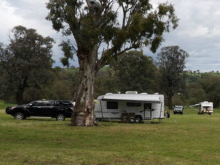 Willow Tree 1 86 768x576