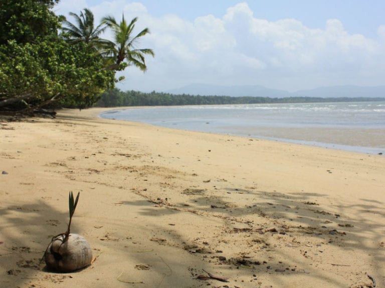 Wonga Beach 86 768x576