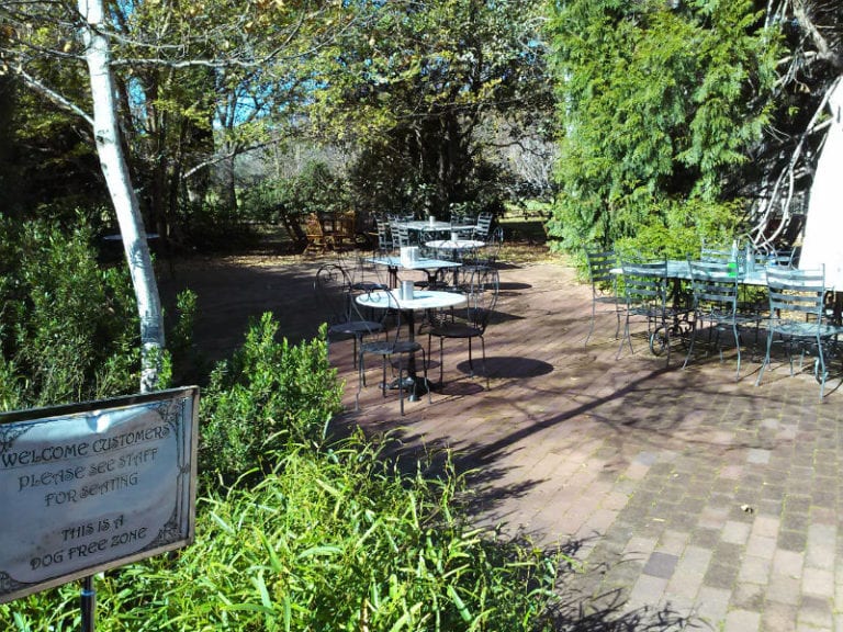 Yarralumla Gallery Dog Friendly Bar 86 768x576
