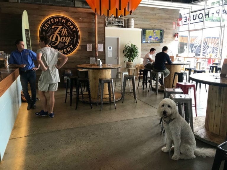 lumi 7th day 768x576