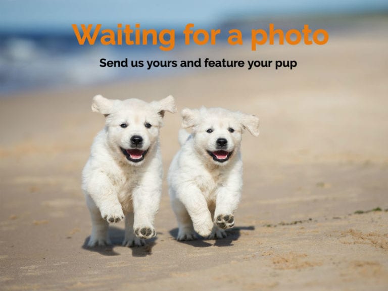 1 Beach Feature photo 18 768x576