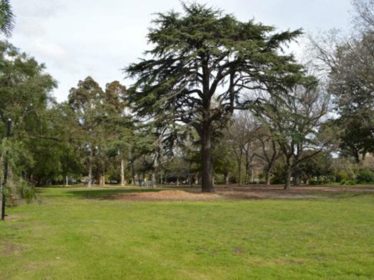 Alma Park 86 768x576