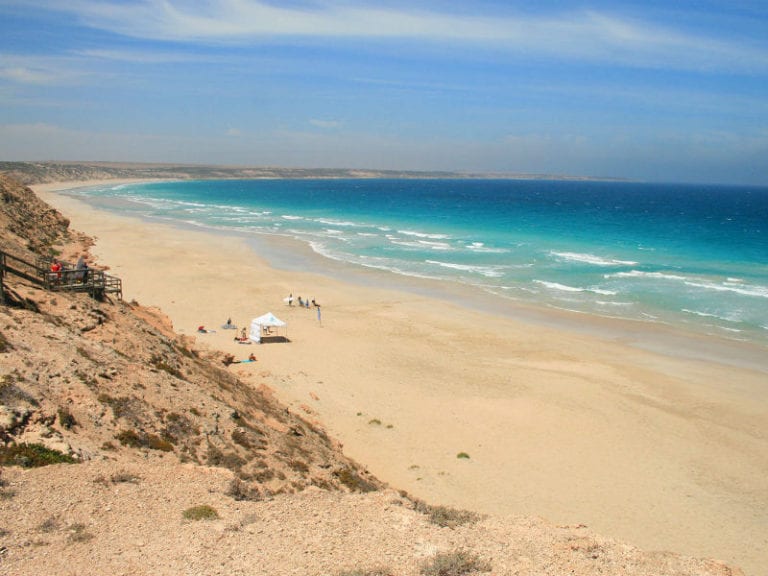 Berry Bay 86 768x576