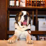 Campbell Dog Friendly Winery 1 86 150x150